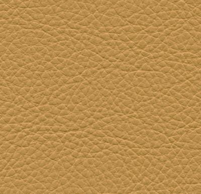 Symphony Classic Cashew